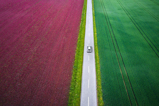 Aerial view on a car driving on idyllic country road through the colourful fields.