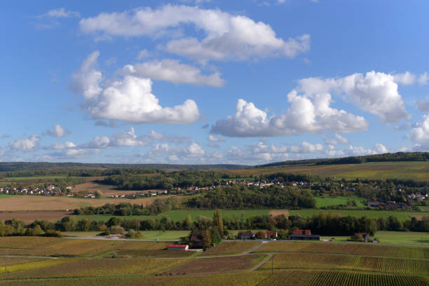 istock Champagne Vineyards in the Marne valley 1911635346