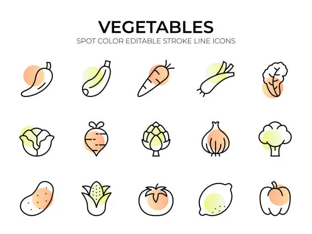 Vector illustration of Vegetables Line Icon Set