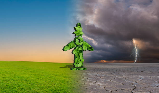 istock Climate change withered earth. Environmental and global warming concepts, a green windmill full of leaves in dry land. 1911694690