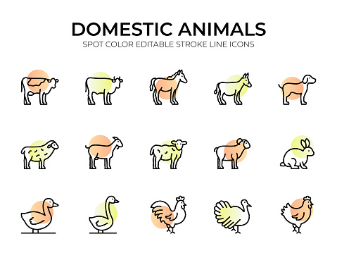 Designed to represent various domesticated creatures, this collection showcases a variety of icons that capture the essence of pets, farm animals, and companions. Each meticulously crafted icon symbolizes concepts such as cats, dogs, birds, rabbits, and more.
