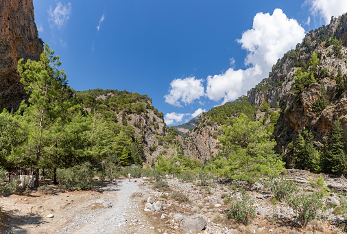 A picture of the classic Samaria Gorge landscape, with rocks on the ground and surrounding trees and mountains.