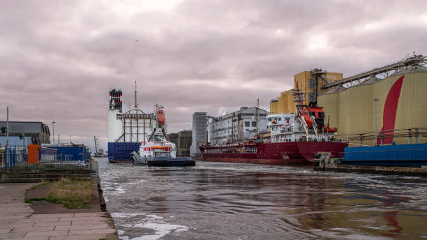 large cargo ship - cargaison zdjęcia i obrazy z banku zdjęć