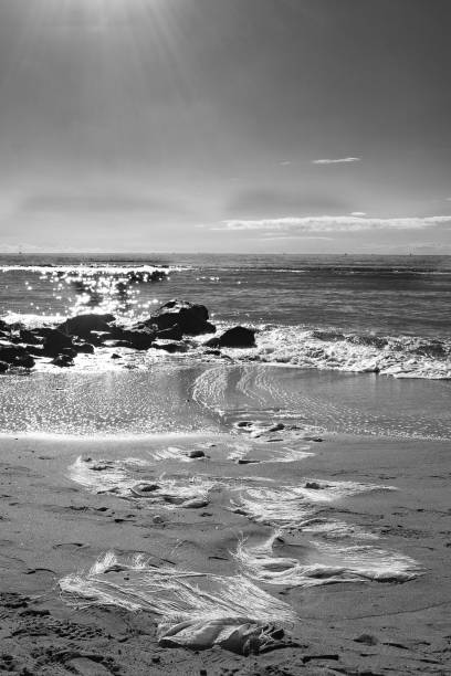 istock shapes and colors on the beach 1911733426