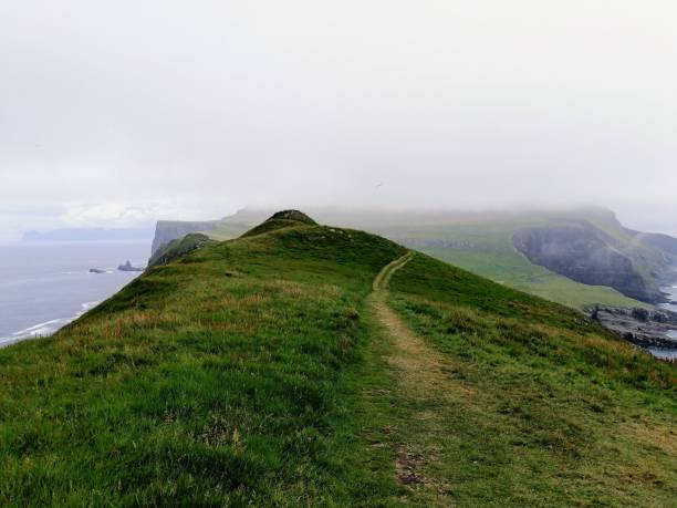 istock Footpath across green meadow 1911737679