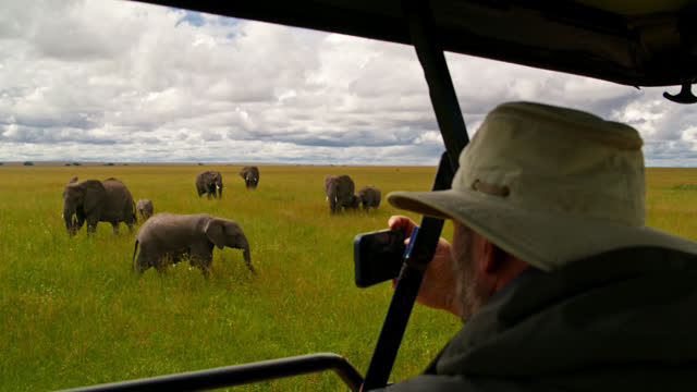 SLO MO Man photographing African elephants from vehicle at Serengeti National Park. Tourist recording herd of Elephants at Tanzania's forest