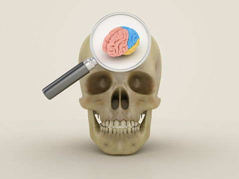 3D Human Skull with Brain and Magnifying Glass - Color Background - 3D Rendering