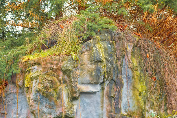 Countryside. Far from the city. Deserted places. The top of a stone mountain in a forest.
