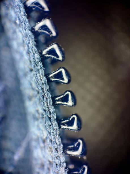 Close up of metal zipper