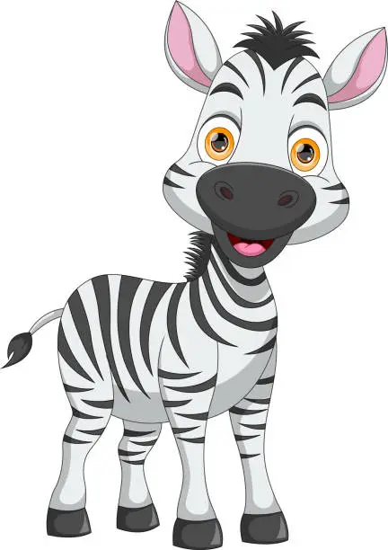 Vector illustration of cute zebra cartoon