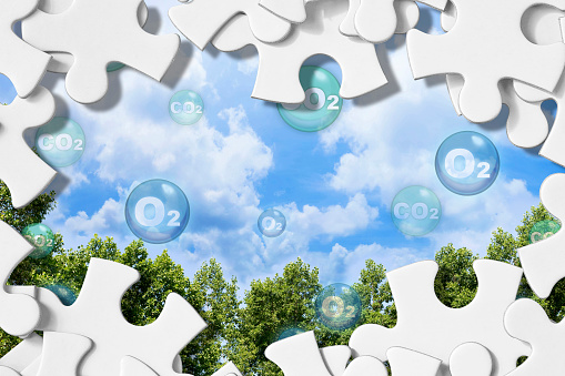 O2 Oxygen Tree Tree Canopy Against A Sky Background With Oxygen O2 And Carbon Dioxide ...