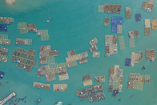 Aerial view of floating seafood farms and fishing boats on the sea