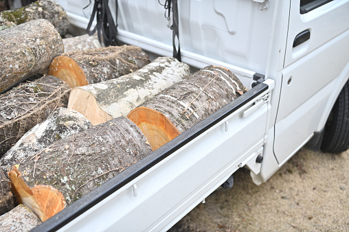 Logs cut to make firewood and loaded into the bed of a light truck