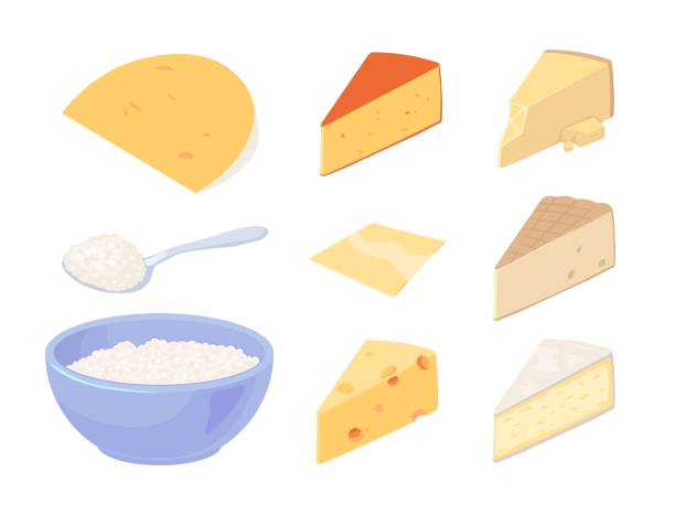 Set of different types of piece cheese in a cartoon style. And also cottage cheese Set of cheese. Cheddar, parmesan and cottage cheese cottage cheese stock illustrations