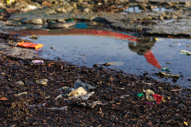 istock The environmental issue of discarded plastic waste on the beach 1911944761