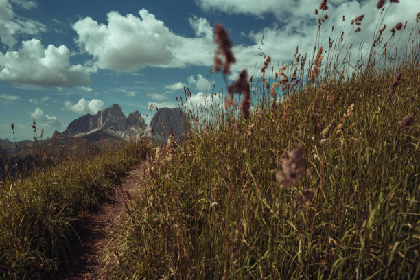 Dolomites landscapes trail mountain hiking