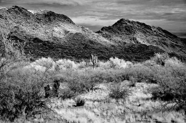 istock San Tan Mountains Sonora Desert Arizona 1911981588