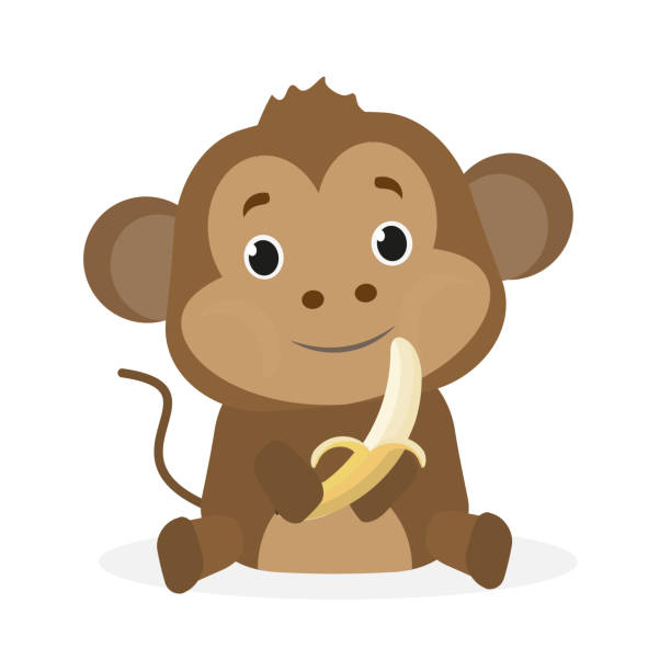 Vector kids illustration. Monkey and banana. Cute animal character. Minimal cartoon design. Sutable for apps and animation. clip art of a monkey holding banana stock illustrations