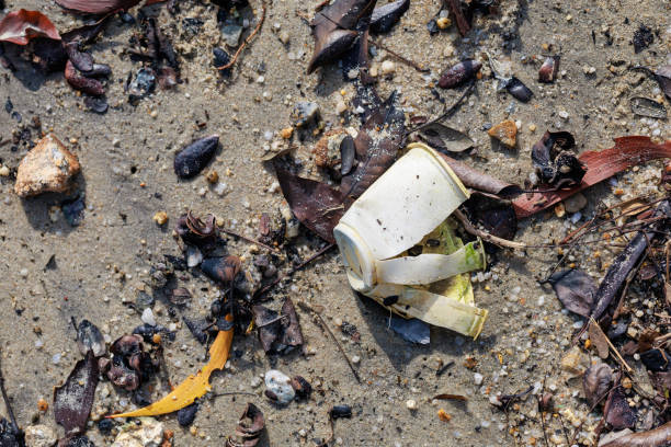 istock The environmental issue of discarded plastic waste on the beach 1912008183