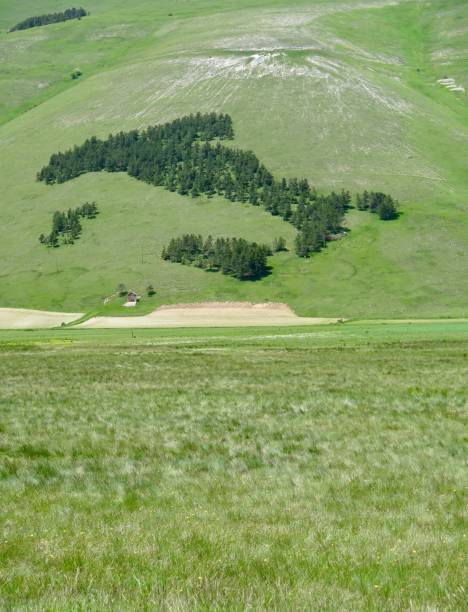 istock Castelluccio di Norcia 1912012040