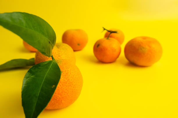 Fruit and food backgrounds. Macro images and food themes.