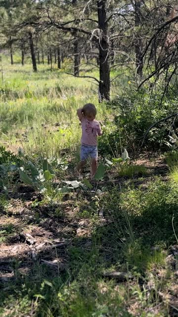 A white toddler girl walking in an open forest exploring nature
