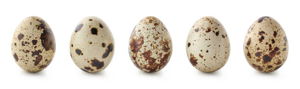 istock Set of five fresh quail eggs on white background 1912051829
