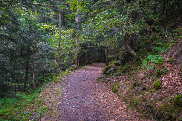istock Aran Valley, forests, rivers, waterfalls, mountains 1912064009