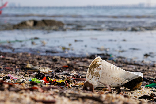 This is a critical environmental concern that underscores the importance of taking action to protect marine ecosystems and reduce plastic waste.