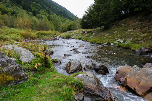Aran Valley, forests, rivers, waterfalls, mountains