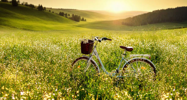 istock Pastoral romantic evening summer landscape. 1912098140