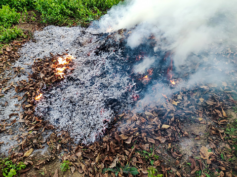 An intense bonfire aflame with autumn leaves during a yard clean-up.