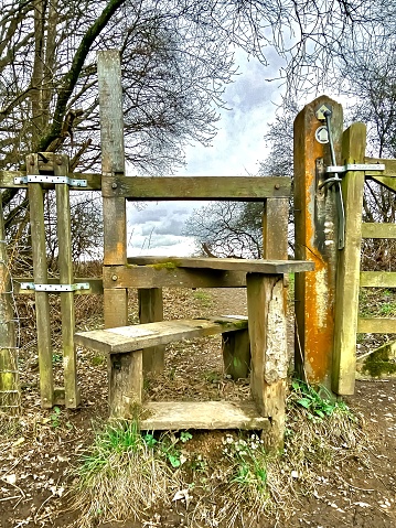 Wooden step stile with dog gate