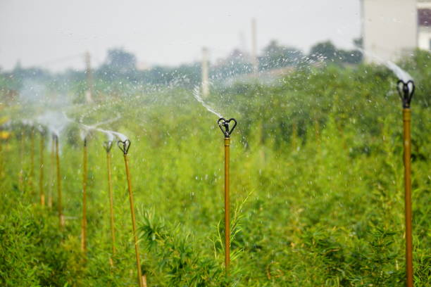 Automatic watering system in the garden