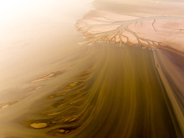 istock Flowing lake water with texture like trees 1912105095