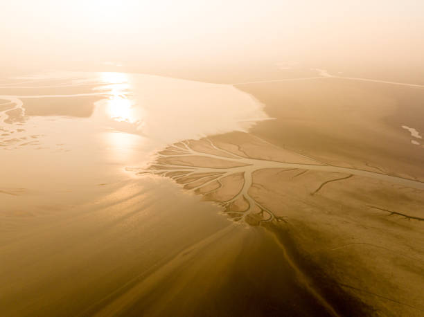 istock Flowing lake water with texture like trees 1912105113
