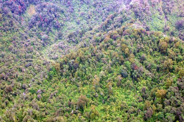 istock Aerial view over mountain landscape 1912126775