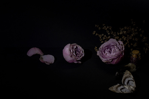 Beautiful gothic set. Purple pale roses flower, crystals, dried herbs and the dead moth in the dark, low key, copy space. Witchcraft, Samhain night, Halloween, authentic, occultism, spell concept