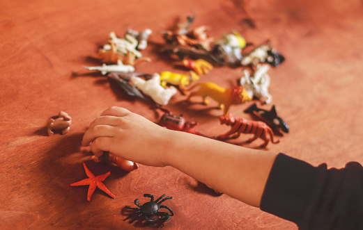 toy figures in the shape of various animals on the table and children’s hands with them in the background