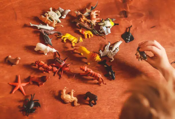 Photo of toy figures in the shape of various animals on the table