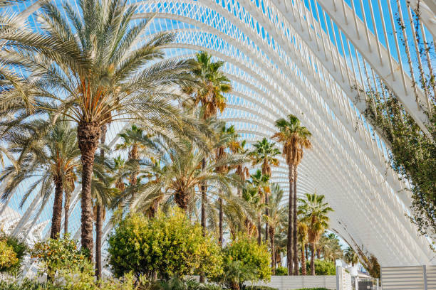 istock park garden with palm trees in nature background 1912203061