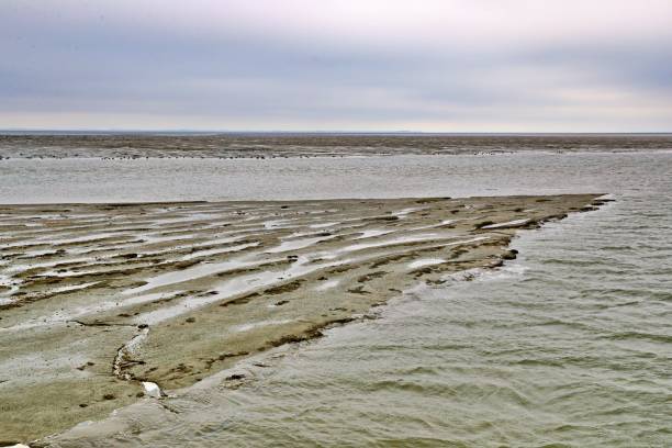 North Sea coast