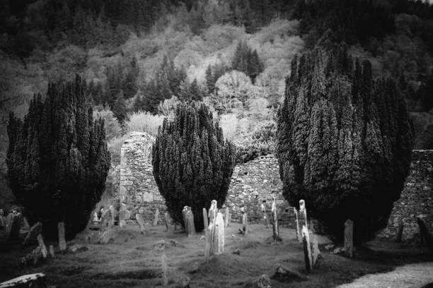 A tranquil cemetery situated on a hilltop overlooking a lush forest