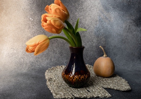 Still life with tulips and pumpkin