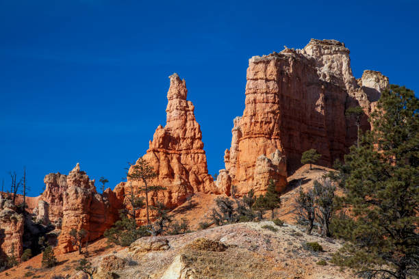 istock Scenic Bryce Canyon National Park Landscape 1912301300