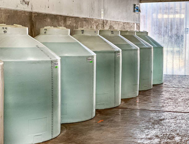 istock Vats Of Pisco Brandy 1912354845