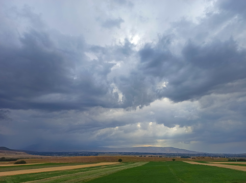 Ears of wheat on the background of the year. Wheat fields, freezing. Kyrgyzstan.