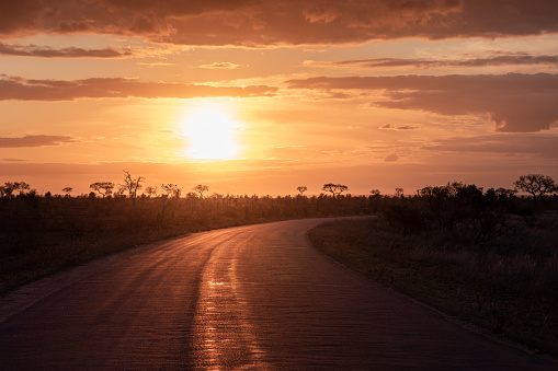Sunset on a road, Kruger national park, South Africa