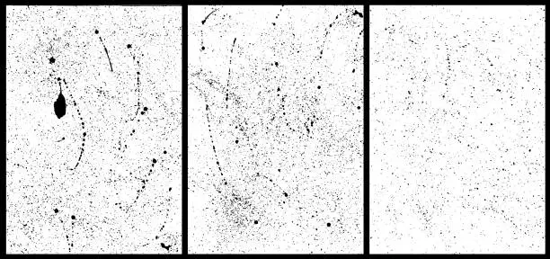 Vector illustration of Set of splatter textures A4 format, real handmade strokes, real paint splashes. Vector strokes in black color with spray, splashes, dripping ink