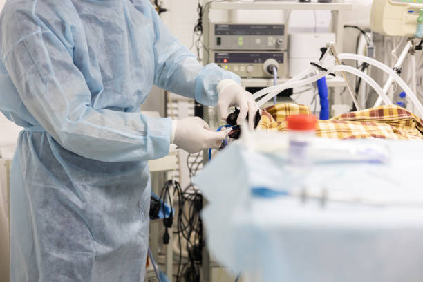 istock In the operating room, a veterinary surgeon performs a major operation on an animal. An experienced surgeon accurately performs a complex operation on an animal. Veterinary surgery. 1912627802